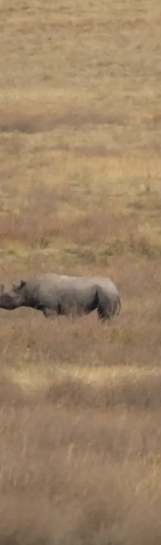 Big 5 – das Glück auf unserer Seite